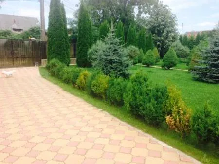 Vand vila cu livada in Pucioasa - Imaginea 3