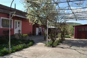 Casa Mintia