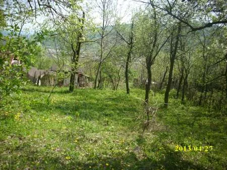 TEREN DE VANZARE 2000MP IN VARBILAU SLANIC PRAHOVA - Imaginea 1