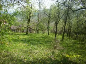 TEREN DE VANZARE 2000MP IN VARBILAU SLANIC PRAHOVA