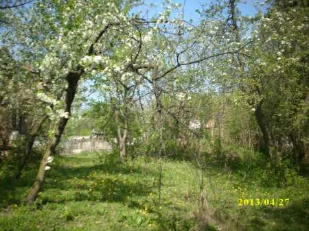 TEREN DE VANZARE 2000MP IN VARBILAU SLANIC PRAHOVA - Imaginea 3