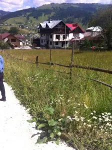 Vanzare teren