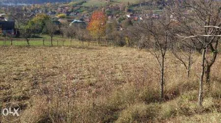 Vand teren intravilan Comanesti - Imaginea 1