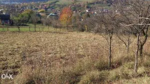 Vand teren intravilan Comanesti