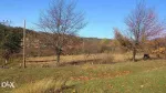 Vand teren intravilan Comanesti - Miniatura 2