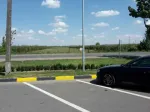 Teren in tecuci la strada principala DN25 care duce spre galati - Miniatura 3