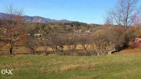 Vand teren intravilan Comanesti - Imaginea 3