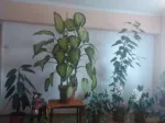 Vand apartament 3 camere, central - Miniatura 3