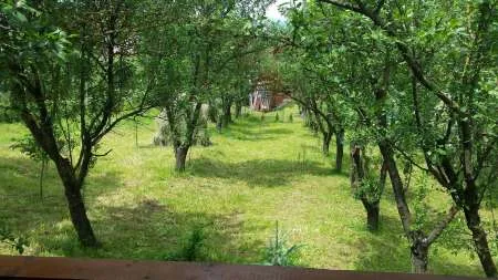 vand casa valea nmare - Imaginea 5