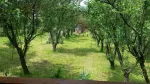 vand casa valea nmare - Miniatura 5