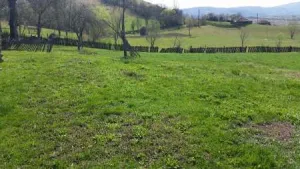 Vand URGENT Casa si Gradina, Steia