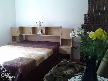 Vand casa de vacanta in Statiunea Calimanesti - Imaginea 4