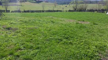 Vand URGENT Casa si Gradina, Steia - Imaginea 2