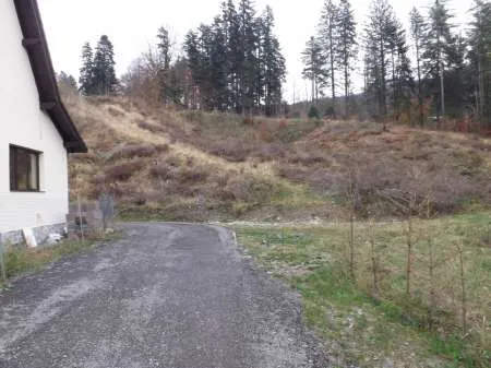 Particular, vand teren construibil Sinaia - Imaginea 3