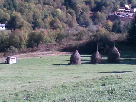 De Vanzare Teren zona turistica Sat Boga- Comuna Pietroasa, zona Padis - Imaginea 2