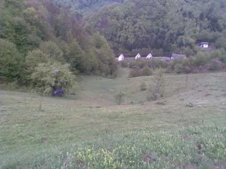 De Vanzare Teren zona turistica Sat Boga- Comuna Pietroasa, zona Padis - Imaginea 3