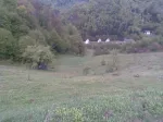 De Vanzare Teren zona turistica Sat Boga- Comuna Pietroasa, zona Padis - Miniatura 3