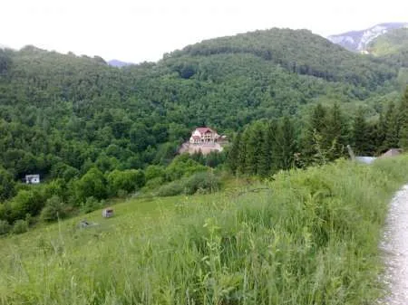De Vanzare Teren zona turistica Sat Boga- Comuna Pietroasa, zona Padis - Imaginea 4