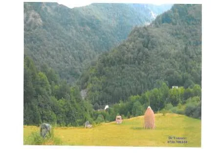 De Vanzare Teren zona turistica Sat Boga- Comuna Pietroasa, zona Padis - Imaginea 6