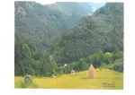 De Vanzare Teren zona turistica Sat Boga- Comuna Pietroasa, zona Padis - Miniatura 6