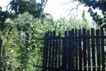 Vand casa in Turnu-Magurele  Teleorman - Miniatura 3
