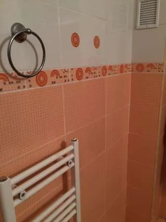 Apartament central cu 3 camere si garaj - Imaginea 10