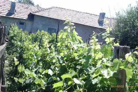 Vand casa in Turnu-Magurele  Teleorman - Imaginea 9