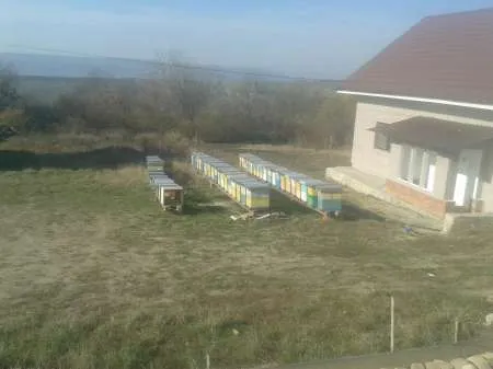 715 mp teren intravilan Vaslui - Imaginea 1