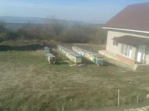 715 mp teren intravilan Vaslui