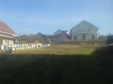 715 mp teren intravilan Vaslui - Imaginea 5