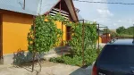 vand doua case in aceeasi curte sau schimb cu apartament in Constanta sau Tulcea - Miniatura 10