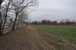 vand casa in Pardina, pe malul Dunarii - Miniatura 2