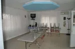 vand casa in Pardina, pe malul Dunarii - Miniatura 6