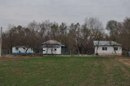 vand casa in Pardina, pe malul Dunarii - Imaginea 8