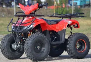 Model: ATV Bmw 125 CC Camo Import Germania
