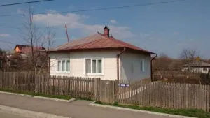 Ocazie! Casa si gradina Dorohoi