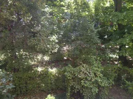 Urgent vand apartament 3 camere zona Cina, Ploiesti - Imaginea 3