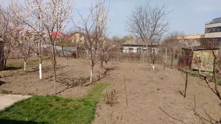 Ocazie! Casa si gradina Dorohoi - Imaginea 5