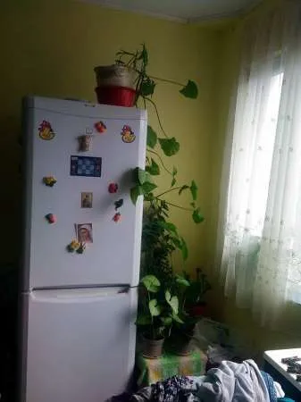 vind apartament 2 camere   in resita. lunca. - Imaginea 3