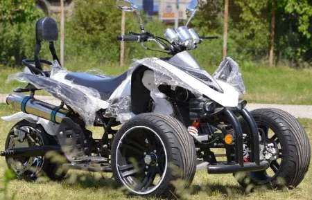 ATV SpeedBirt 250 Oferta sarbatorilor de iarna - Imaginea 1