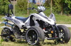 ATV SpeedBirt 250 Oferta sarbatorilor de iarna