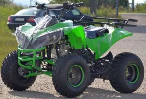 ATV ReneGade Warrior 125cc 