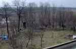 Proprietar vand casa si teren in satul Gorneni, jud Giurgiu - Miniatura 3