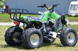 250cc Speedy Quad 10 Oferta sarbatorilor de iarna