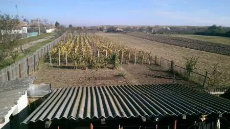 Casa cu teren, Gradistea, Jud. Olt - Imaginea 3