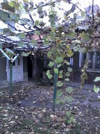 vand casa sau schimb - Imaginea 3