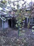 vand casa sau schimb - Miniatura 3