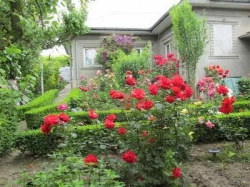 Casa vanzare - 33000 euro - Imaginea 1