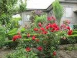 Casa vanzare - 33000 euro - Miniatura 1