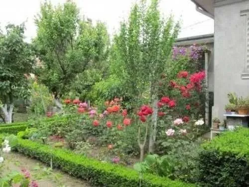 Casa vanzare - 33000 euro - Imaginea 2